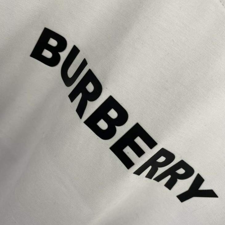 Picture of Burberry T Shirts Short _SKUBurberryXS-Lfstn0219206
